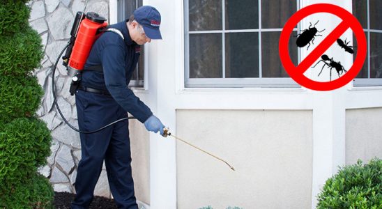 Olur Dezenfeksiyon böcek ilaçlama ve haşere kontrolü — ilaclama-tr.com